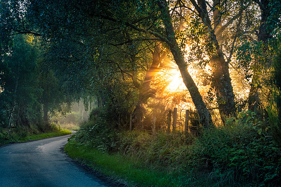 Sunrise in the Scottish Countryside