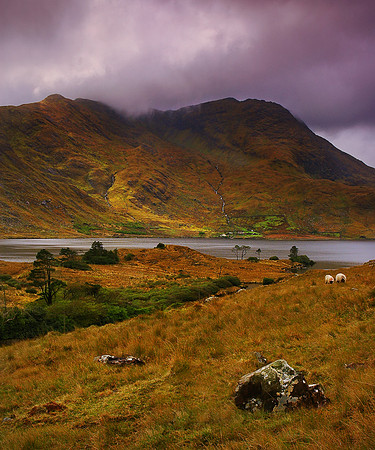 Light and Rain on the Mountains