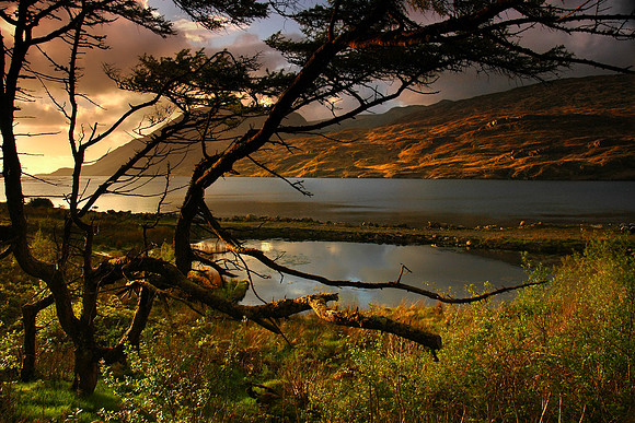Last Light