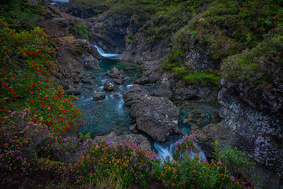 Wildflower River